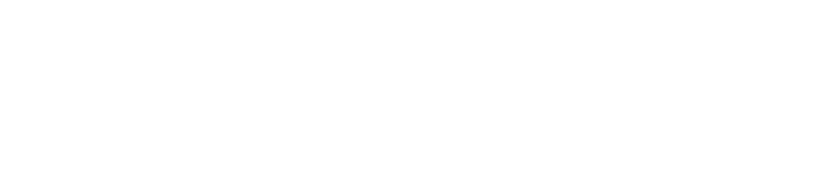 Vynzo Media